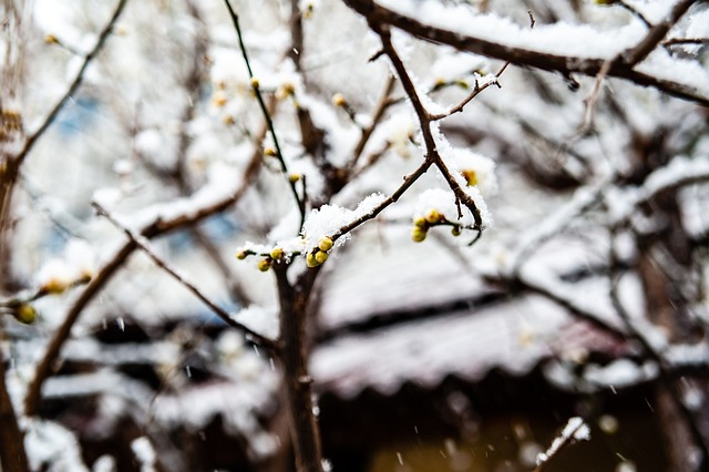 榜上高居不